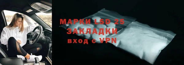 ГАЛЛЮЦИНОГЕННЫЕ ГРИБЫ Белокуриха
