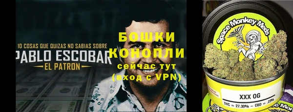 ГАЛЛЮЦИНОГЕННЫЕ ГРИБЫ Белокуриха