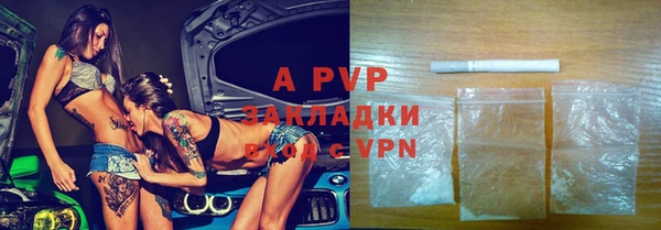 ГАЛЛЮЦИНОГЕННЫЕ ГРИБЫ Белокуриха