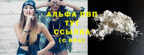 ГАЛЛЮЦИНОГЕННЫЕ ГРИБЫ Белокуриха