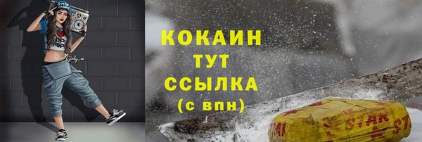 ГАЛЛЮЦИНОГЕННЫЕ ГРИБЫ Белокуриха